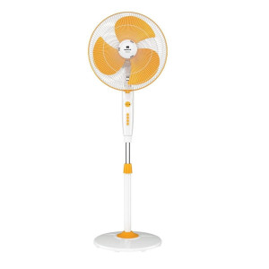 Trendy Pedestal Fan